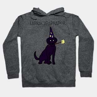 Labracadabrador Wand Retriever Hoodie